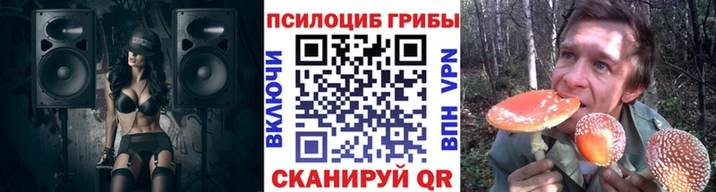 сайты даркнета телеграм  Апшеронск  Галлюциногенные грибы прущие грибы 